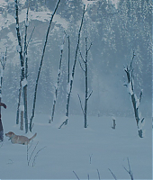 la_montagne_entre_nous_blu_ray_28120329.jpg