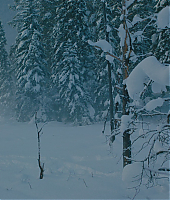 la_montagne_entre_nous_blu_ray_28168629.jpg