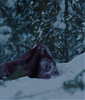la_montagne_entre_nous_blu_ray_28175829.jpg