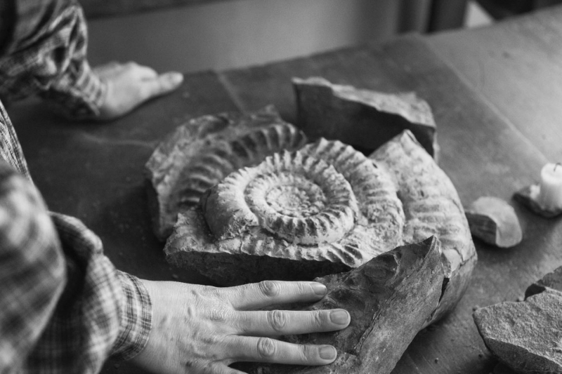 ammonite_photos_promotionnelles_282529.jpg
