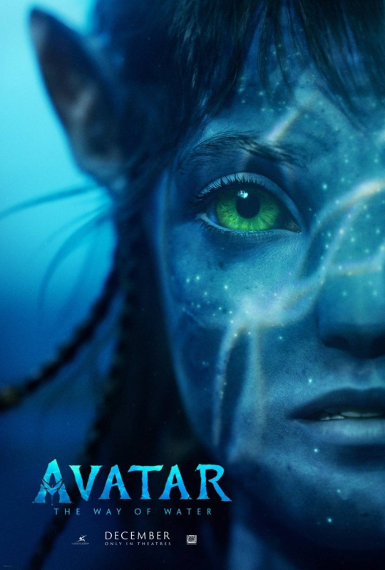 avatar_la_voie_de_leau_affiches_28929.jpg